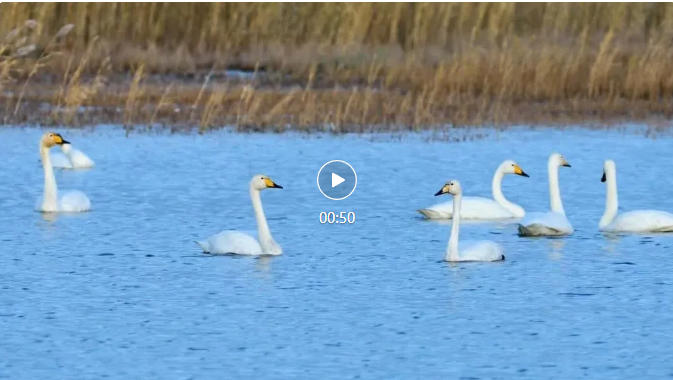 wechat_2025-10-20_091114_981.jpg wechat_2025-10-20_091114_981.jpg