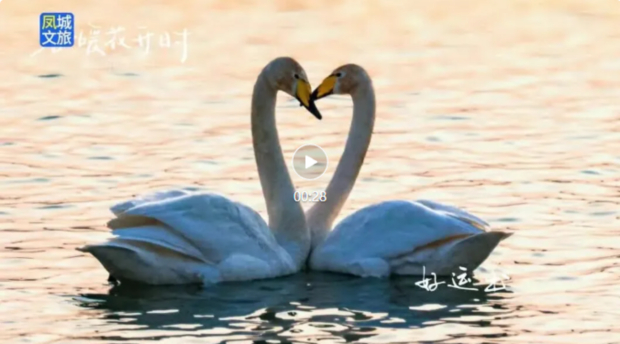 ScreenShot_2026-03-17_172824_902.jpg ScreenShot_2026-03-17_172824_902.jpg